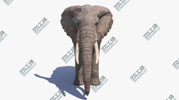 images/goods_img/20210312/Elephant Skin And Skeleton 3D/5.jpg